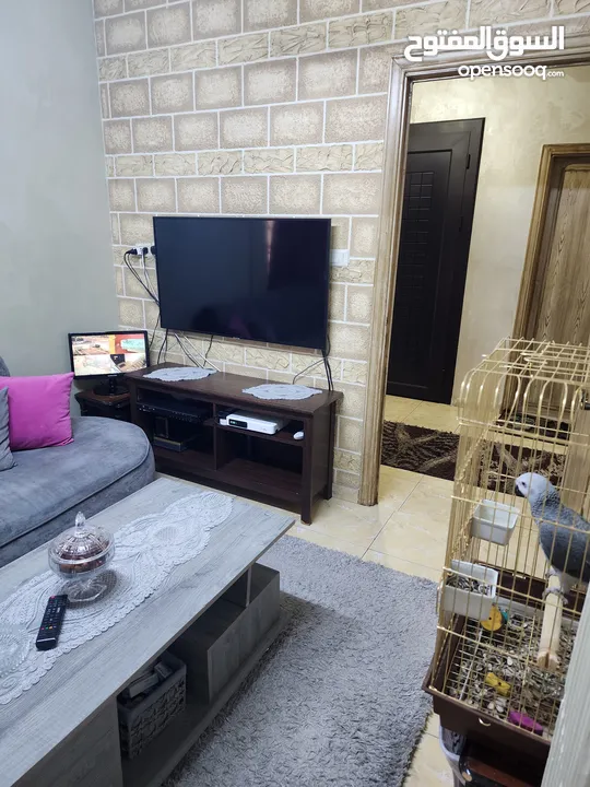 شقه ارضيه مع تسويه دوبلكس ضاحية الأمير حسن