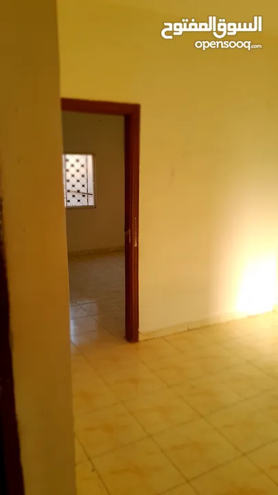 شقة للايجار