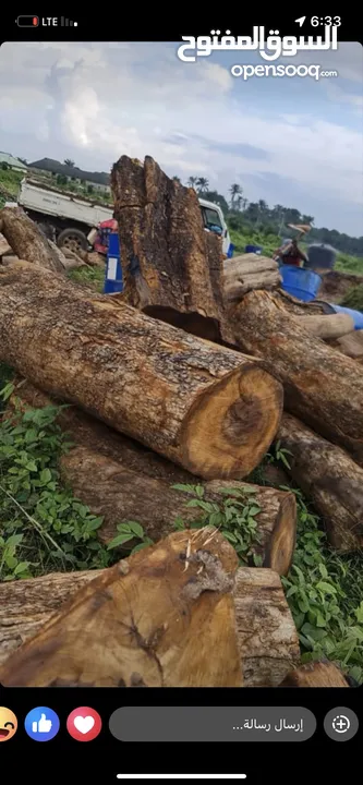 فحم مشاوي نخب اول للتصدير