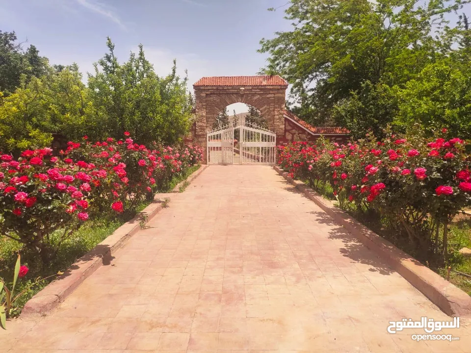 134-Hectare Farm for Sale in Morocco - مزرعة محفظة للبيع بمساحة 134 هكتار في منطقة ورزازات، المغرب