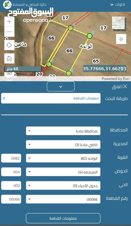 أراضي مميزة مفروزة 4 دونمات للبيع في محافطة مادبا/الهلالية بالقرب من الجامعة الأمريكية بمقابل القطعة