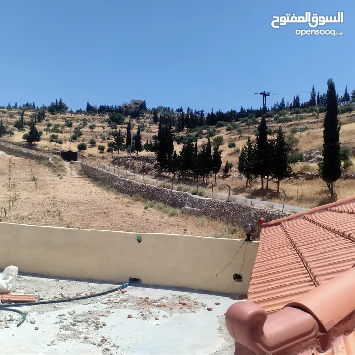 مزرعه للبيع في الصبيحي مطله على فلسطين