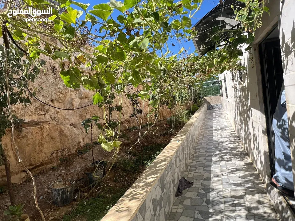 يونس فاخوري
