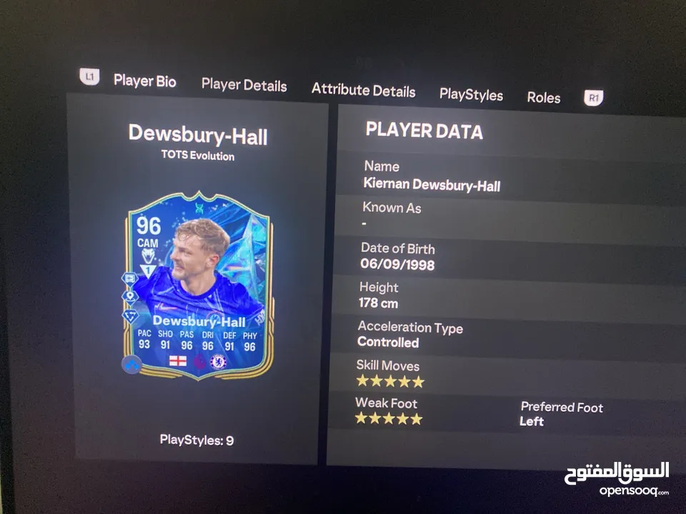 حساب فيفا FC25