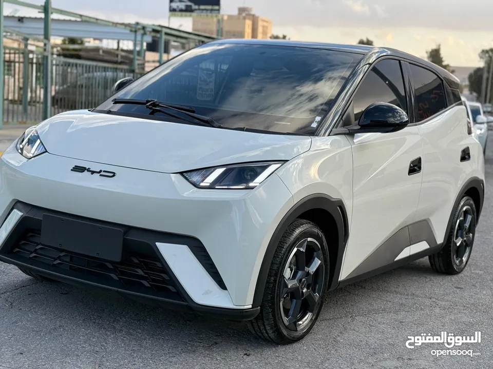 بس واي دي سيجول 305k 2023