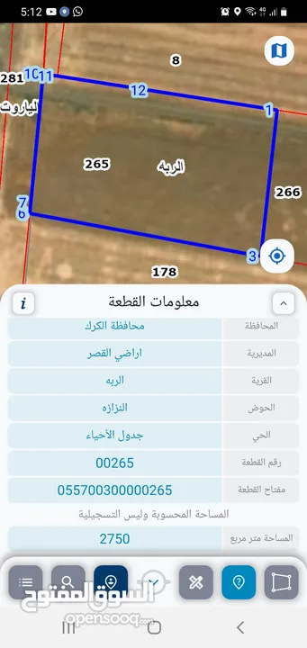 ارض مميزه على  الشارع الرئيسي/الملوكي بين الربه والقصر للبيع مساحة 2750متر مربع