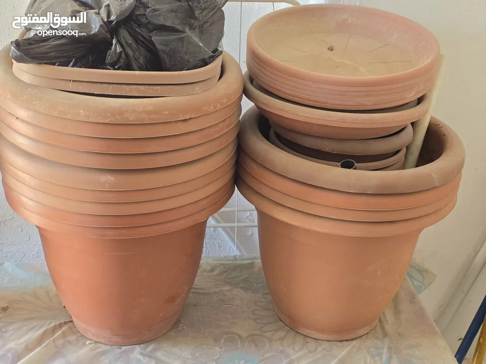 قوارير زراعة بحالة جيدة