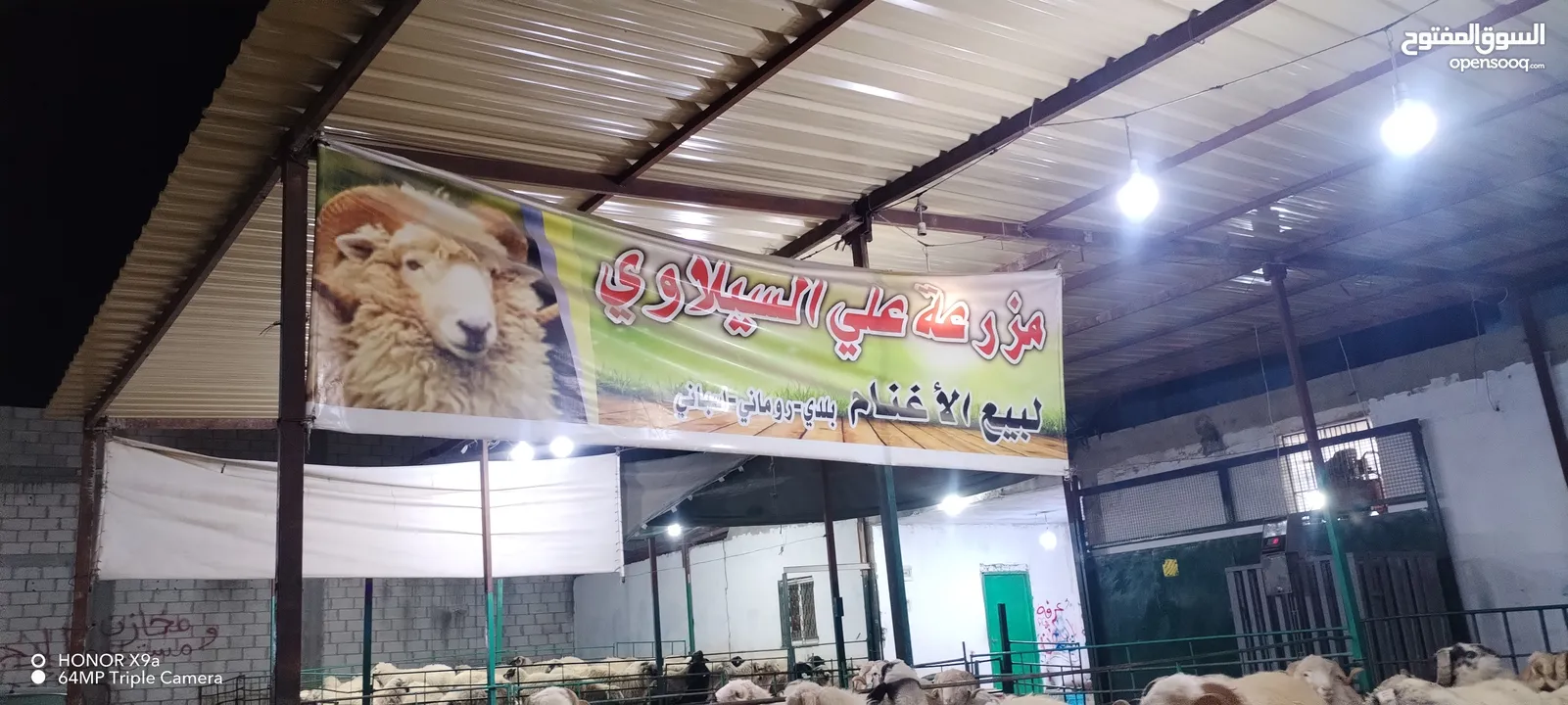 خرفان روماني