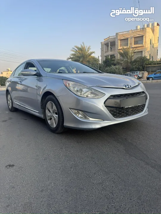 سوناتا وارد أمريكي