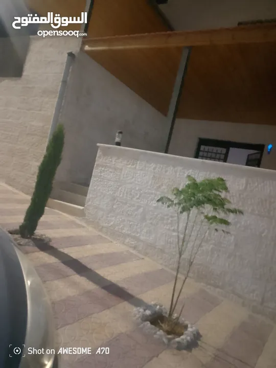 شقق فارغه للايجار بناء حديث يسحق المشاهده