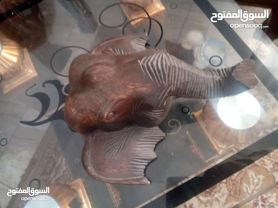 مناظر حيوانات للبيع بسعر مغري