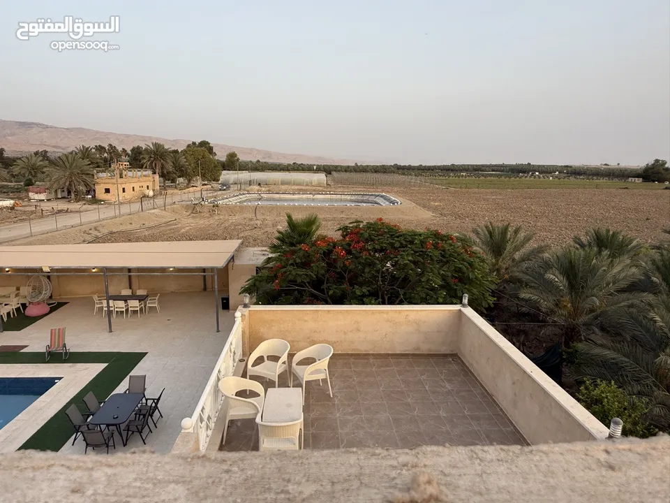 مزرعة نخيل مجهول مثمر ومنتج  + شاليه مودرن للبيع بأجمل مناطق الغور بالقرب من سد الكرامة 60 ك من عمان