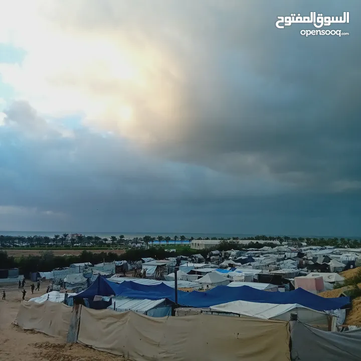 صور للبيع من غزة