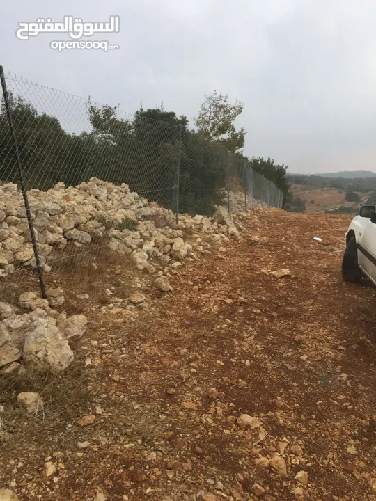 أرض ممتازة في جرش للسكن و للزراعة بقرب أحراش الدولة و سعر مغري  للمزيد من المعلومات اقرأ الوصف