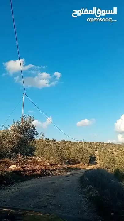 ارض للبيع بسعر مميز