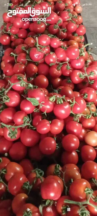 مشروع تجاري مربح بحاجة لتمويل
