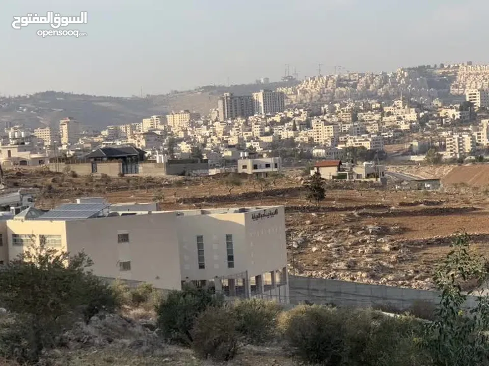 قطعة ارض في مرج الغزلان