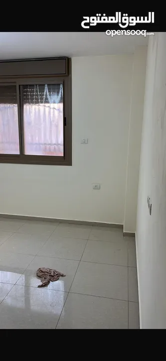 شقة للايجار