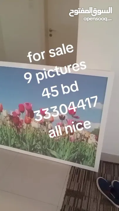 مجموعه صور احجام مختلفه