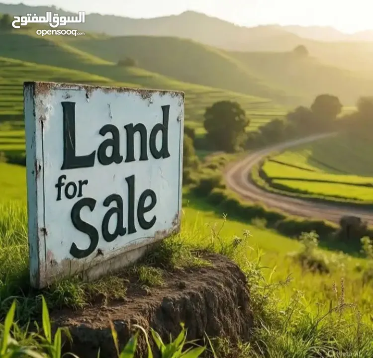 أرض للبيع في نابلس / عصيرة الشمالية حوض واد الصياد مزروعة زيتون متوفر كافة الخدمات اطلالة رائعة