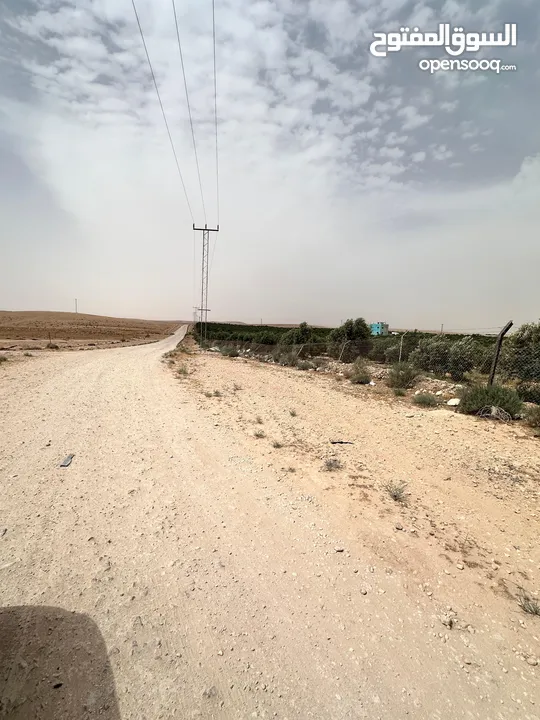 ارض للبيع جنوب المطار حوض الطلاق الشرقي بسعر مغري