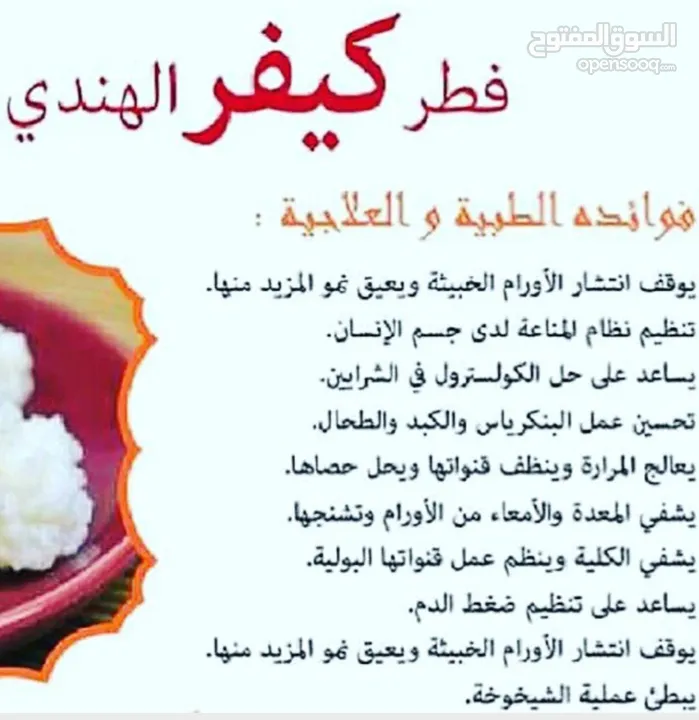 Kefir grains فطر الهندي حي و لبن الكفير بسعر مغري للبيع!