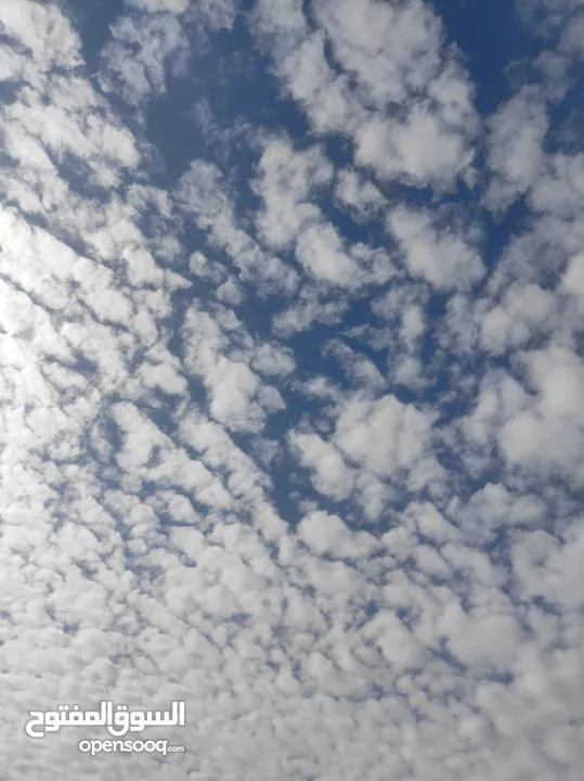 غااغتتبتبتتبتبت