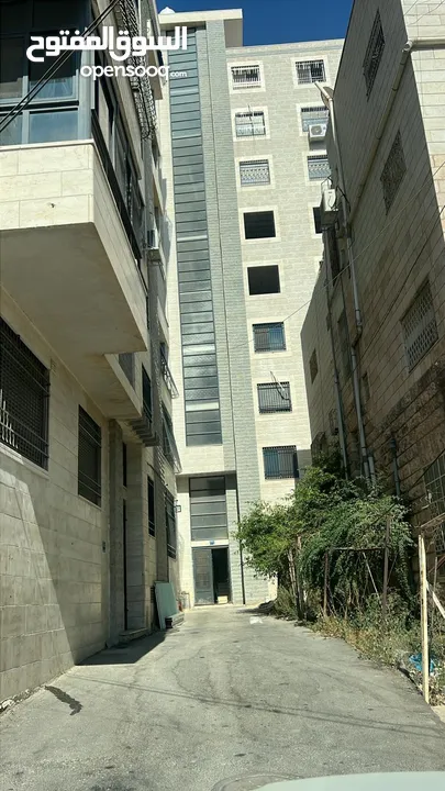 شقق للإيجار