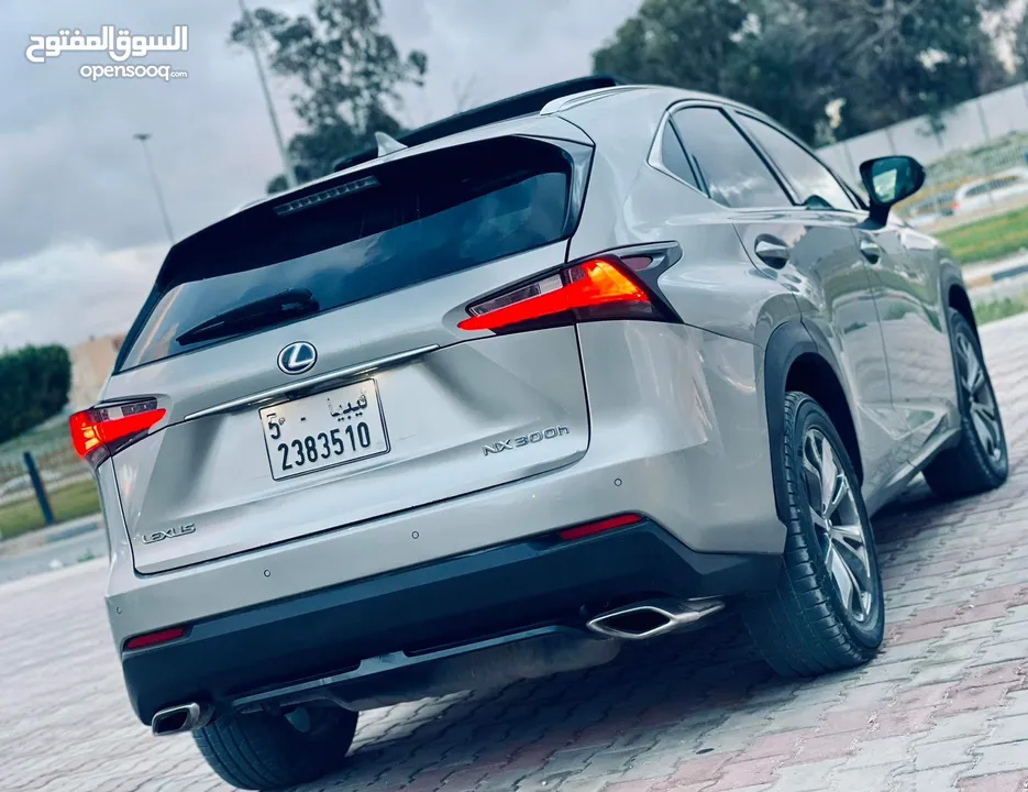 لكسز 2019  NX300 استراد كوري