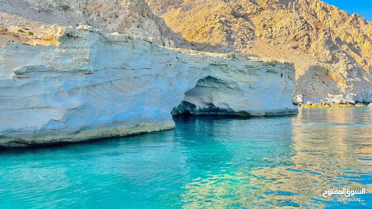 Half Day Dhow Cruise - Musandam