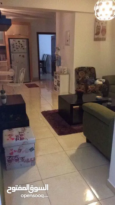 شقة مرتبة مفروشة للايجار