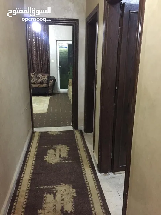 شقه للايجار