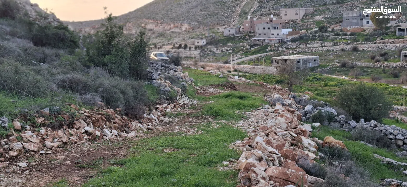800متر طابوا فلسطيني في اجمل موقع بالكفريات واطلالة مميزةمنطقة( b)صالحة للبناء