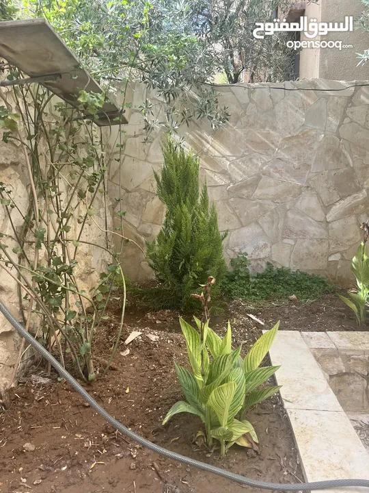شقة ارضية للبيع