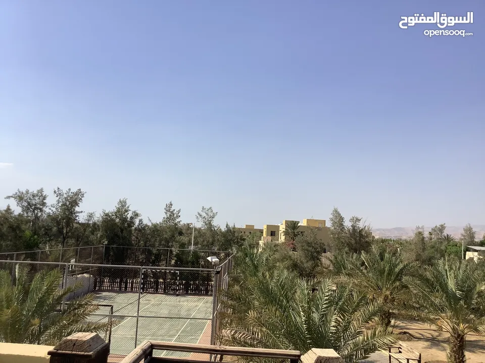 مزرعة في البحر الميت/ الشونه الجنوبية / السويمه / حوض جلد مميزة للبيع للجادين فقط