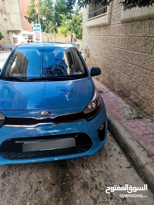 بصمه فل فحص نخب19