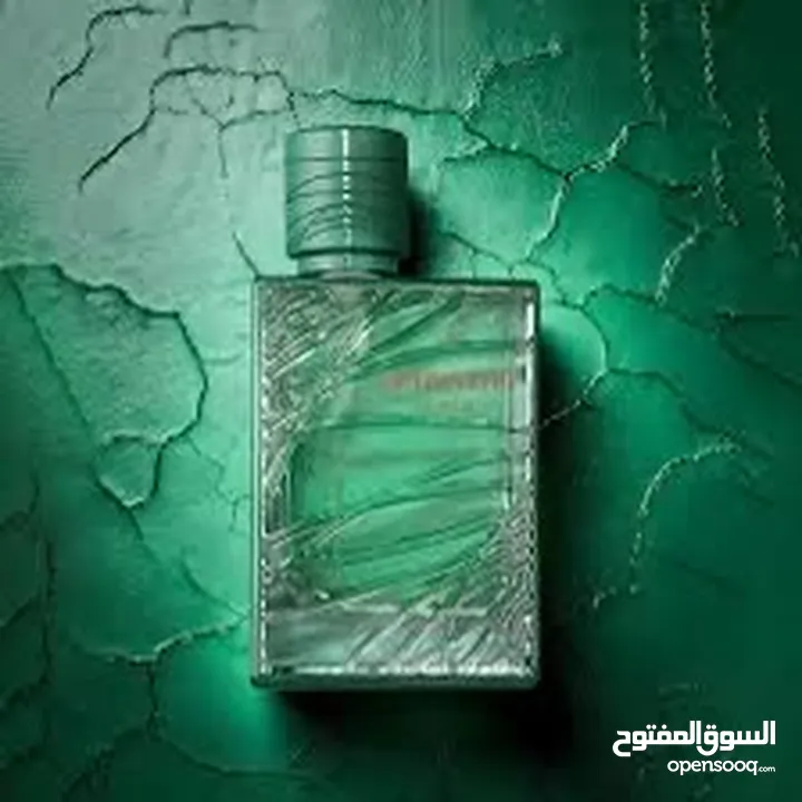 عطر اوبتمستك لي بو من شركة فرجرنس ورلد افضل بديل للعطر الشهير جان بول لي بو