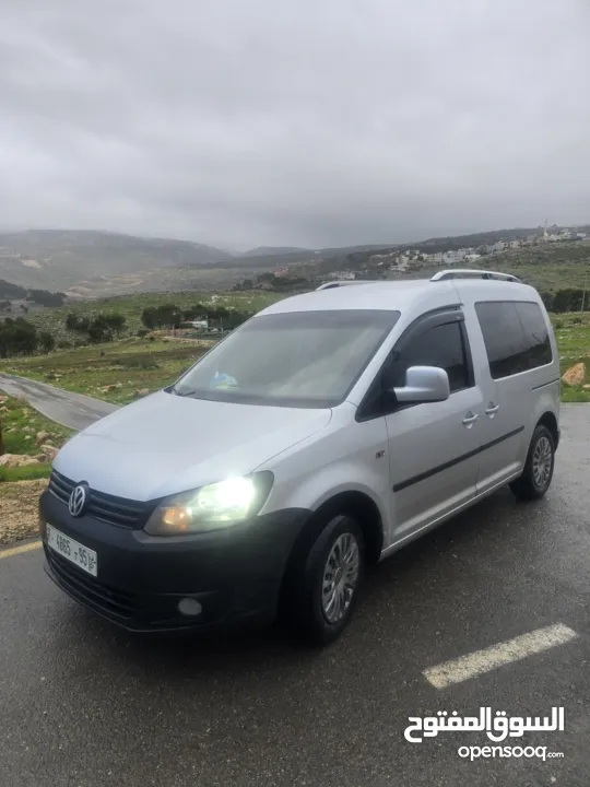 كادي 2011 رخصه