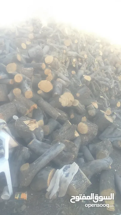 بيع جميع انواع الشجر وحطب المواقد والصوبات