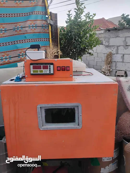 فقاسة بيض نيوستار