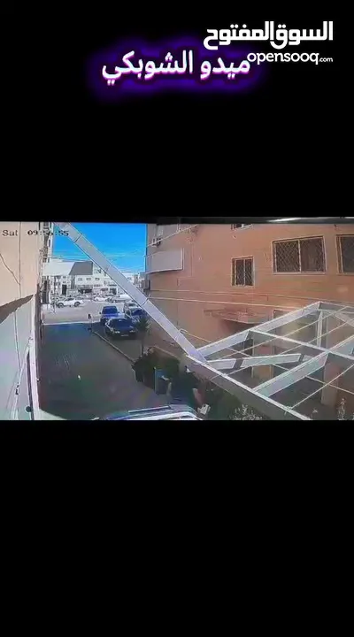 ببغاء كاسكو مفقود
