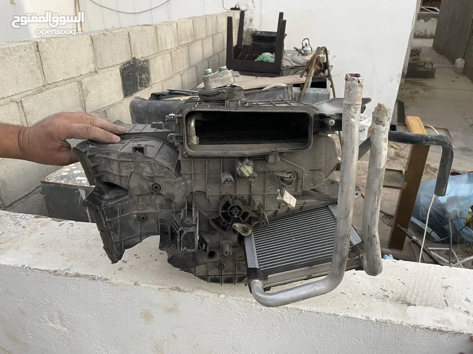 قطع اكسنت 2006 الدب