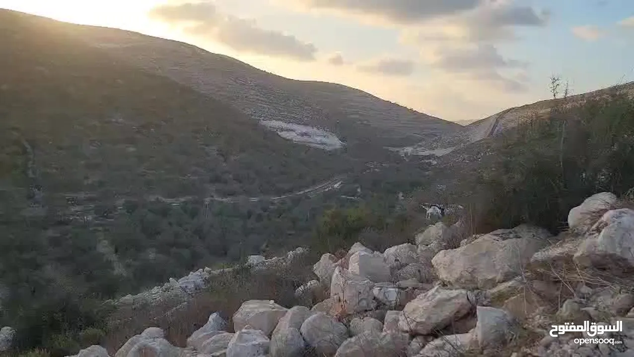 نمرة ارض مميزة تصلح للاستثمار القريب او البناء في عصيرة الشمالية للبيع على الكاش مع امكانية التقسيط