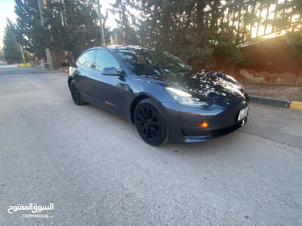 تيسلا مودل 3 استاندر بلس حره 2021 كاش او اقساط