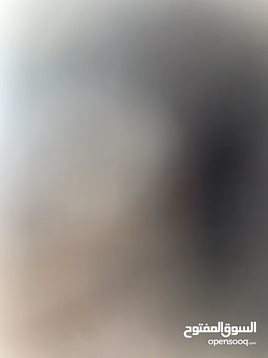 قهوة للبيع البيادر شارع الصناعة