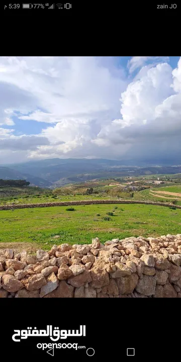 ارض للبيع في جرش ثغرة عصفور مسنسله