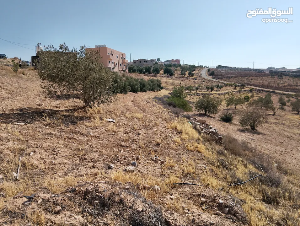 لقطة ؛ أرض زراعية مع غرفة على حدود الطفيلة والكرك ، تصلح للاستثمار كمزرعة سياحية أو منتجع سياحي