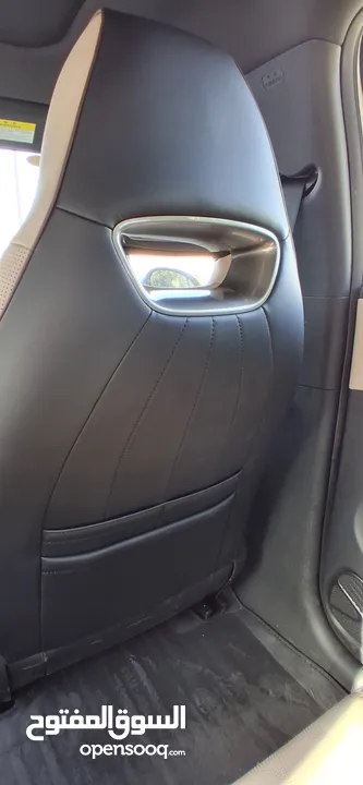 BYD 2023 دولفين