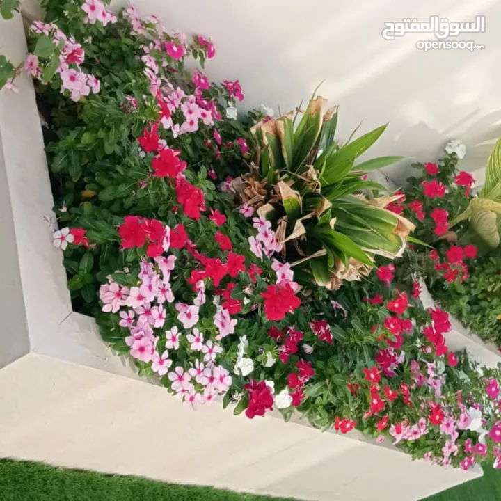 خدمات تصميم وتنسيق وصيانة الحدائق باحترافية  Professional garden design, coordination and maintenanc