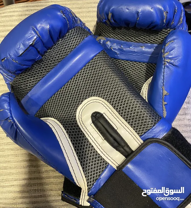 EVERLAST BOXING GLOVES - قفازات ملاكمة